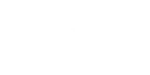 Logo Lunex white Logo der LUNEX University.
